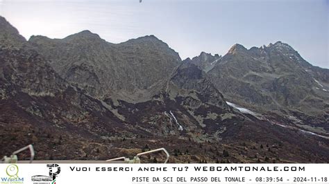 webcam adamello ski|Passo del Tonale